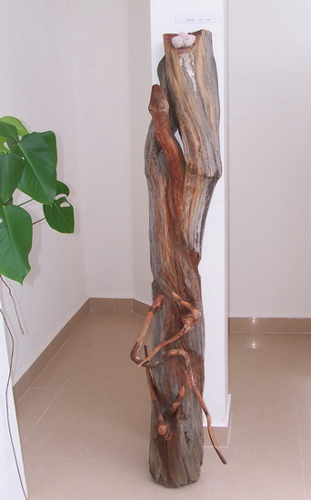 Hniezdo, drevo 2001